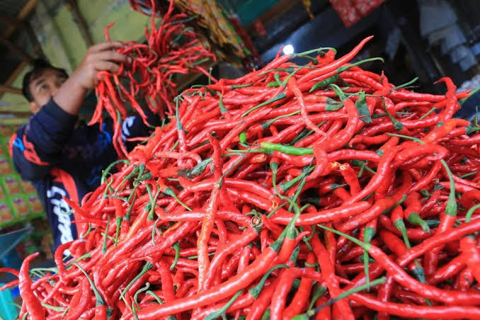 Mak Mak di Pekanbaru Menjerit, Harga Cabai di Pekanbaru Tembus  Rp110.000 Per Kilogram