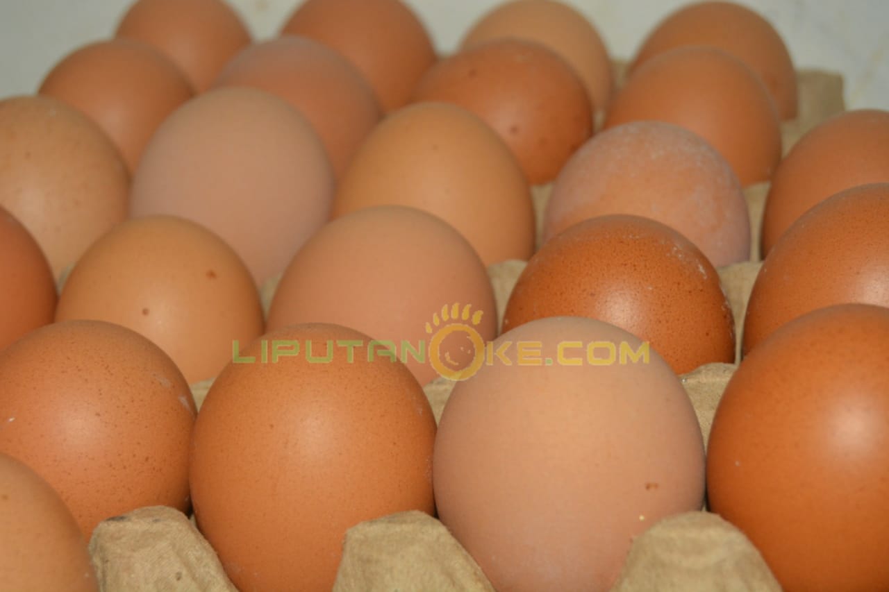 Ampun! Emak-emak di Pasar Kecak Pinggang Melihat Telur Naik