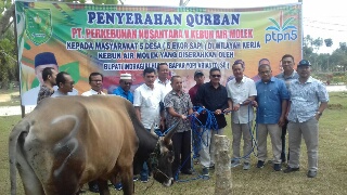 PTPN V Serahkan Ternak Kurban Ke 5 Desa 