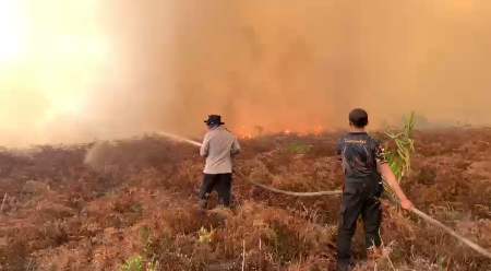 4.059 Hotspot Kepung Sumatera, Sumsel Penyumbang Terbanyak