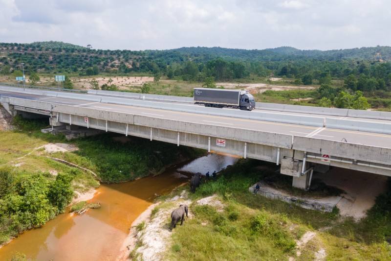 Begini Perjuangan Codet Sang Gajah Saat Jatuh Cinta
