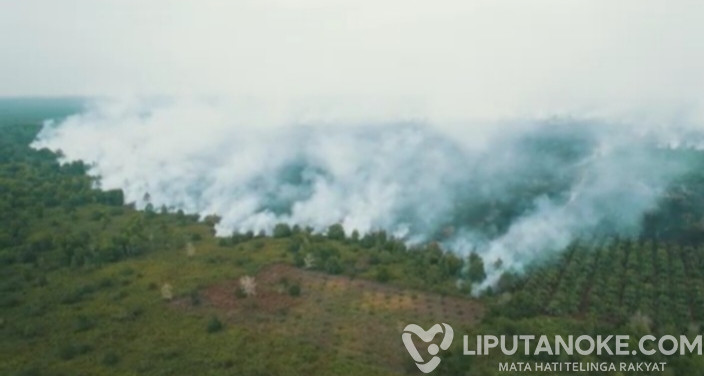 Karhutla Membara di Tiga Kabupaten di Riau, Lokasi Sulit Dijangkau