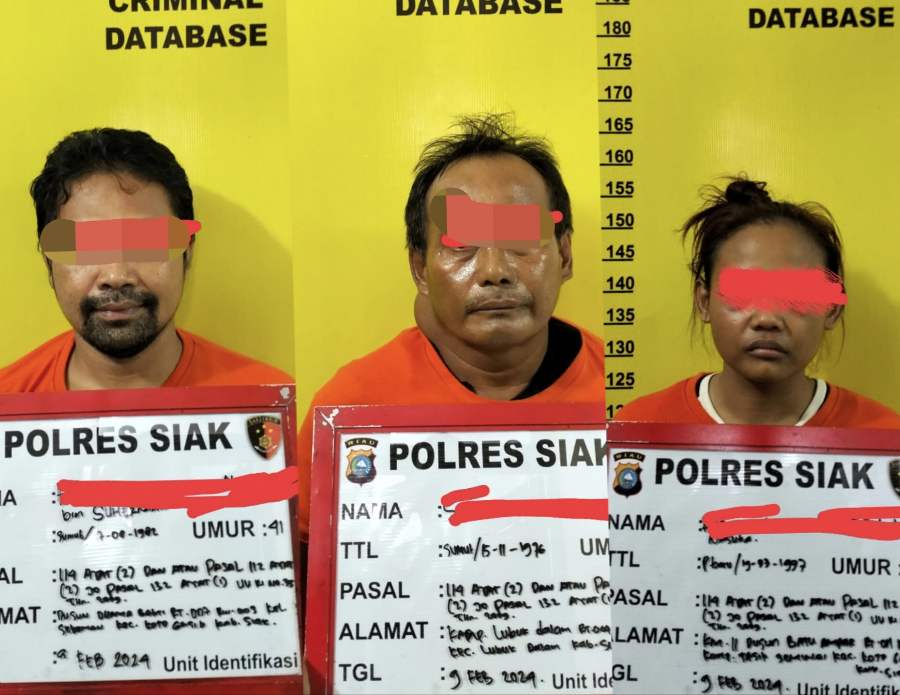 Satres Narkoba Polres Siak Amankan 3 Pelaku Terduga Narkoba, 1 Diantaranya Perempuan