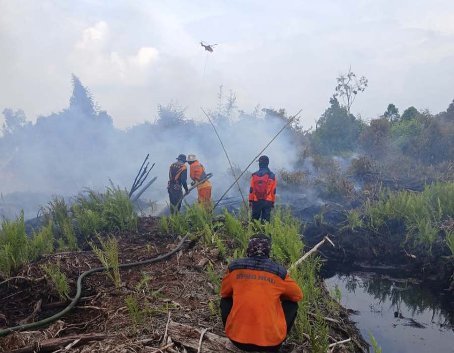 Pemprov Riau Resmi Tetapkan Status Siaga Darurat Karhutla 2024