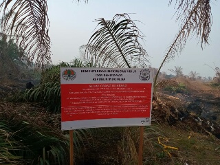 Akibat Karhutla, KLHK Segel Lahan Diduga Milik Korporasi di Pasir Ringgit Inhu