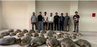 Polda Bali Berhasil Gagalkan Upaya Penyeludupan Penyu Hijau