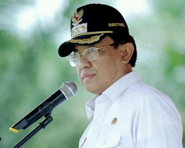 Bupati Inhil Sayangkan Jalan Desa Igal Sempat Viral Baru Dikerjakan