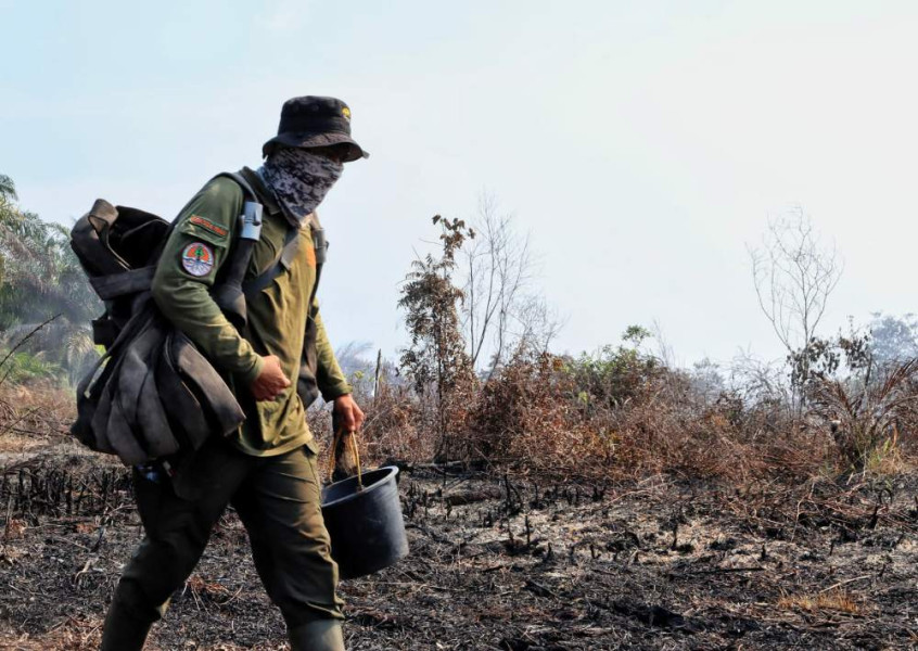 Karhutla Membara di Kabupaten Pelalawan Riau, 15 Hektar Hangus Terbakar