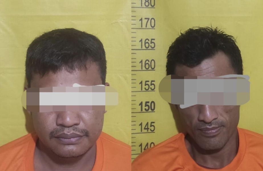 Polsek Langgam Amankan Dua Pelaku Pencurian Sawit di Kebun PT MUP