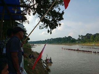 Jalur Untung Bertuah Kehilangan Tuah saat Berhadapan dengan Buaya Kuning Keramat 