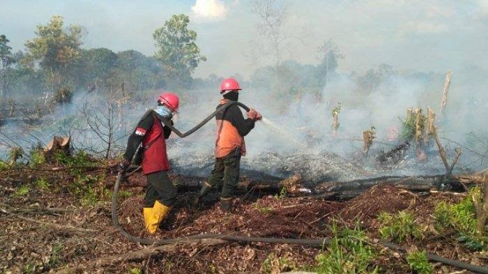 Antisipasi Meluasnya Karhutla di Riau,, Awal April BNPB Bakal Lakukan TMC di Riau