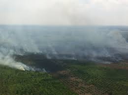 7 Titik Api Terpantau di Siak dan Rohil