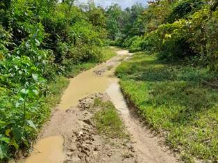 Jalan Pulau Kumpai Rusak Parah, Warga Nilai Pemkab Abai