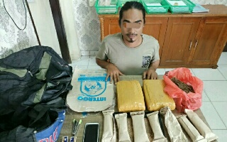 Polres Siak Tangkap Pengedar Daun Ganja Kering