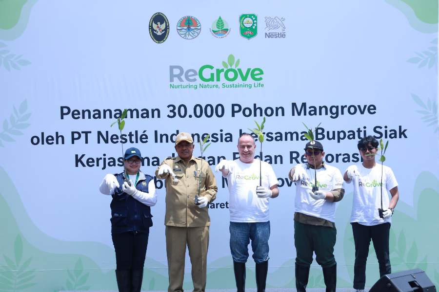 Mitigasi Perubahan Iklim, PT Nestle Indonesia Tanam 30 Ribu Mangrove, Alfedri: Sejalan Konsep Siak Hijau