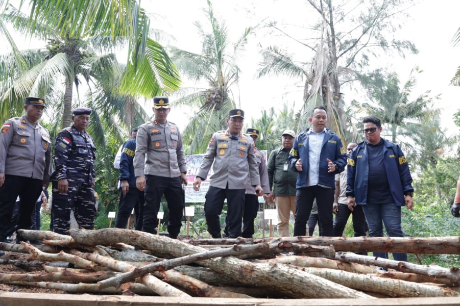 Dapur Arang Mangrove Dibongkar di Rupat Utara, Kapolda Riau: Kejahatan Lingkungan Tak Ditoleransi