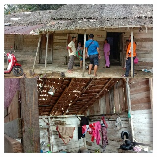 Prihatin, Rumah Janda Beranak 5 Berdinding Papan & Beratap Daun Hampir Rubuh di Inhu