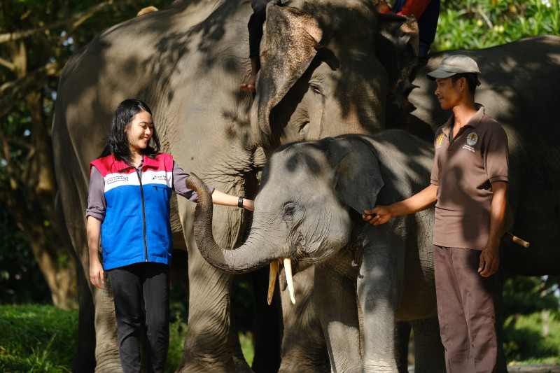 Penghargaan Green World Environment Award, Bukti Sinergi PHR Jaga Ekosistem Gajah