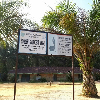 Pihak PTPN V Sandarkan Harapan Ke Tim B Terkait Pembangunan SDN 012 Inhu