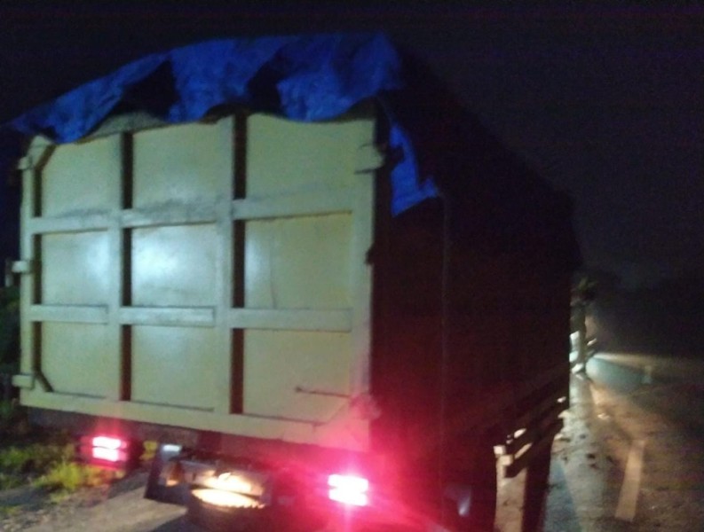 BBKSDA Riau Amankan Dua Truk Pengangkut Kayu Diduga Ilegal di Suaka Margasatwa Kerumutan