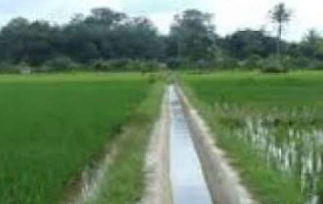 26 Kilometer Irigasi Akan Diperbaiki, 1.293 Hektare Sawah di Kuansing Bakal Produktif