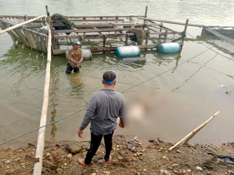 Mayat Membusuk Ditemukan di Keramba Pulau Belimbing II Kampar, Diduga Korban Terjun Jembatan