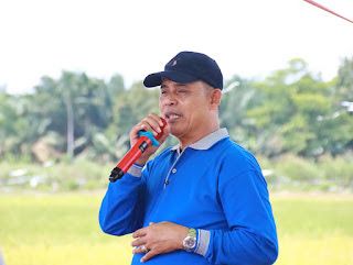 Bupati Inhil Hadiri Panen Raya di Kempas