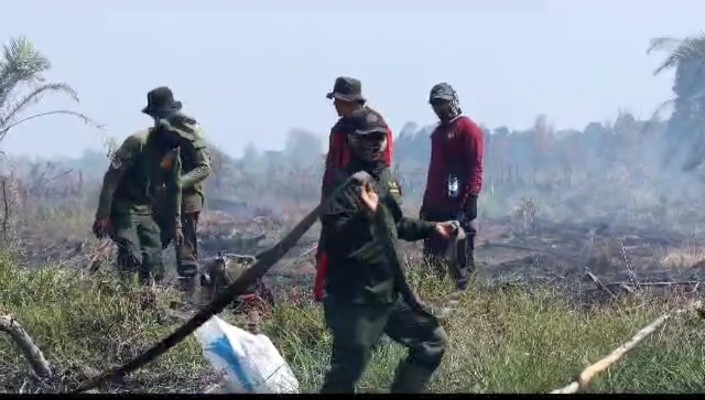 Sengaja Dibakar untuk Lahan Sawit, Kawasan Paru-paru Dunia Cagar Biosfer Giam Siak Kecil Luluh Lantak