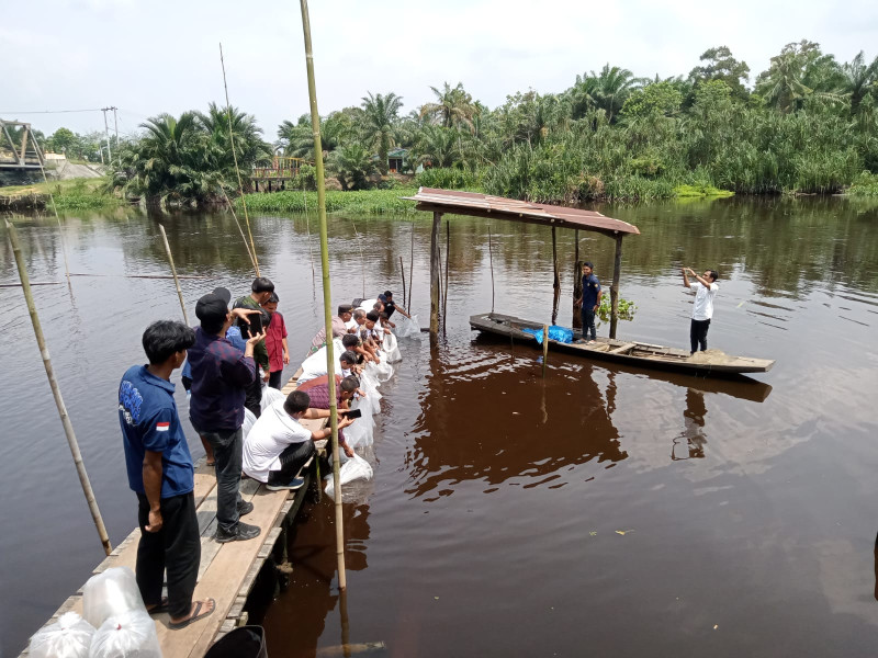 Pengabdian Masyarakat, Dosen Faperta UIR Tebar 6.000 Benih Ikan Baung dan Selais di Sungai Mandau Kabupaten Siak
