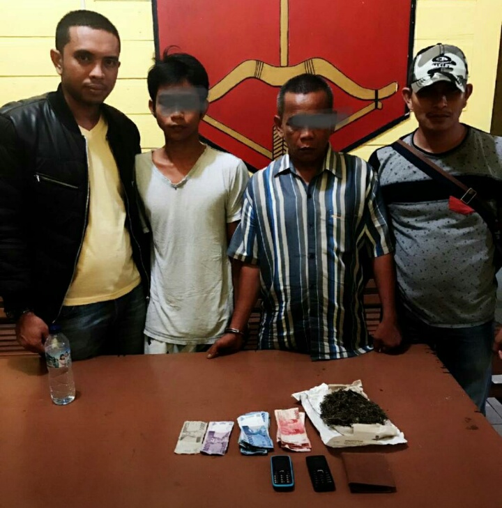 Miliki Ganja, 2 Pemuda Singingi Ditangkap Polisi Ditempat Berbeda