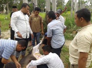 DPW PKB Riau Qurbankan Empat Hewan Ternak