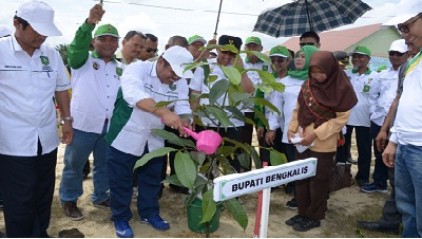 Bupati Amril Ajak Warganya Tingkatkan Kualitas Menanam