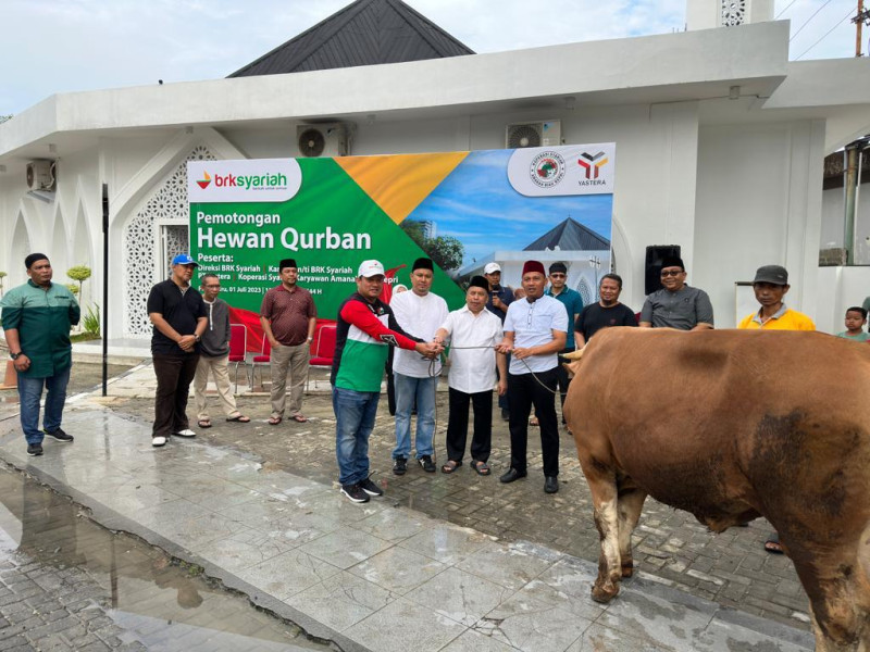 Karyawan BRK Syariah Potong 5 Ekor Sapi dan 2 Ekor Kambing Kurban