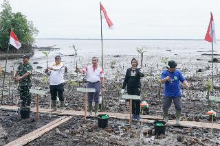 Sempena Hari Mangrove Sedunia, Gubri Tanam 200.000 Bibit Mangrove
