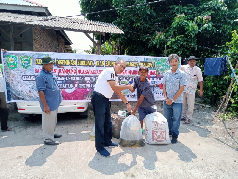 PKLH UIR-BPPM  PT AA Gelar Kegiatan Budidaya Ikan Baung Bagi Petani Ikan Kampung Muara Kelantan Siak