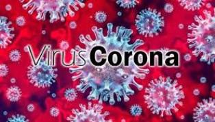 Gawat! Virus Corona di Riau Kian Mewabah, 224 orang Hari ini Dinyatakan Positif