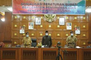 Bupati Alfedri Sebut Penanganan Stunting Butuh Kerjasama Multipihak