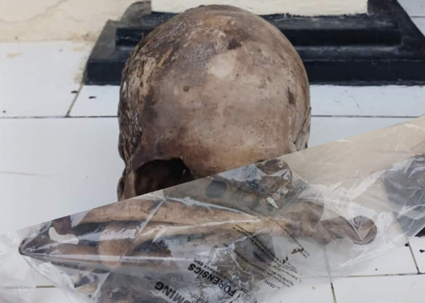 Wuiiih Serem! Warga Inhu Temukan Tengkorak dan Tulang Belulang Manusia di Kebun Sawit