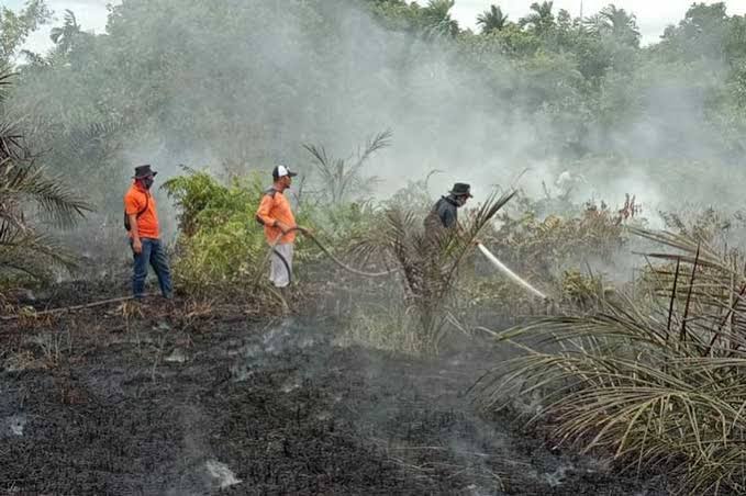 2.945 Hotspot Kepung Sumatera, 491 Titik Ada di Riau