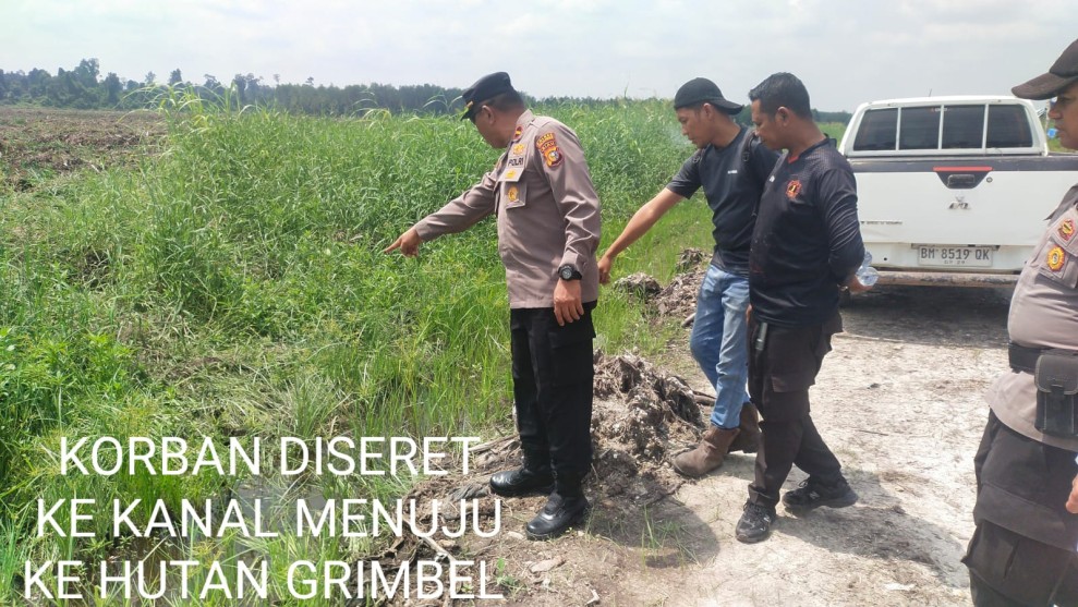 Karyawan Subkontraktor Tewas Diterkam Harimau Sumatera di Pelalawan