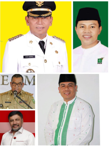Hari Pertama Dibuka Pendaftaran, Lima Balon Kepala Daerah Ambil Formulir di DPD PDIP Riau