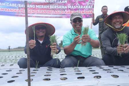 Tekan Inflasi di Daerah, Sekda Siak Ajak Masyarakat Tanam Cabe Merah