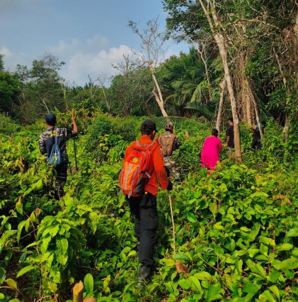 Tim SAR Gabungan Sisir Perkebunan Cari Lansia Hilang di Meranti