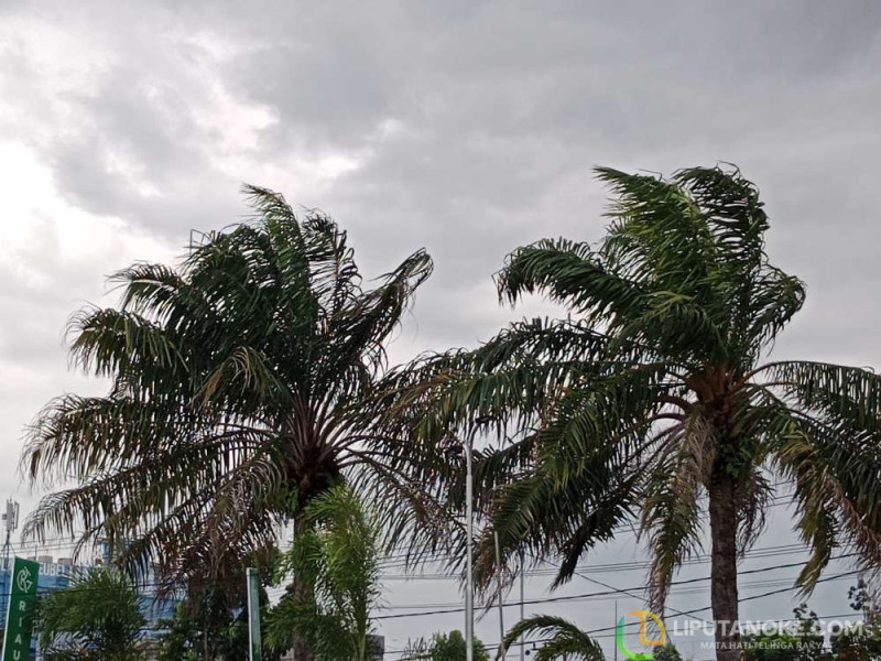 Waspada! Sejumlah Wilayah di Riau Berpotensi Terjadi Cuaca Ekstrim