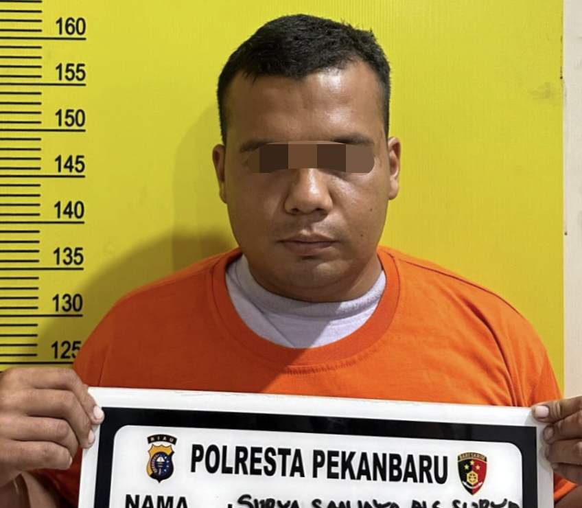 Bakar Lahan Milik PT PHR, Pria Asal Pekanbaru Ditangkap Polisi