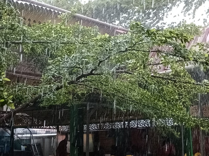 Waspada! Hujan Deras Berpotensi Guyur Sejumlah Wilayah di Riau