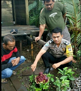 Heboh, Raja Temukan Bunga Bangkai Langka
