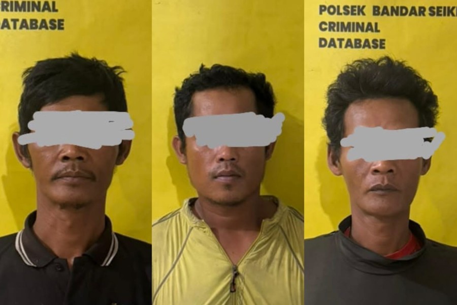 Tiga Pencuri Buah Sawit Ditangkap, Aksi Terbongkar Berkat Patroli Drone di Pelalawan