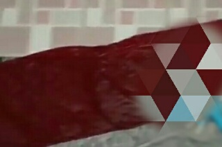 Bendera Merah Putih Diinjak-injak & Digosok dengan Sikat WC, Nontonnya Bikin Geram!