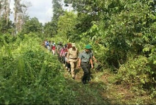Danrem Tinjau Lokasi Cetak Sawah Baru